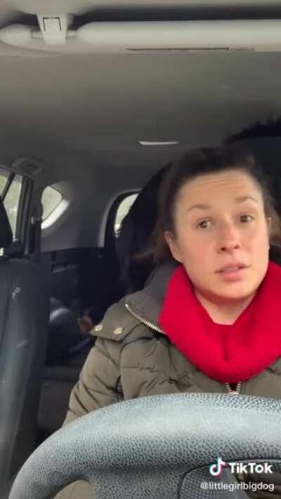 Clifford the Big Black UNIT