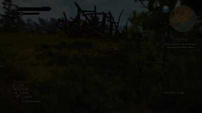 First time playing the Witcher 3... seems legit