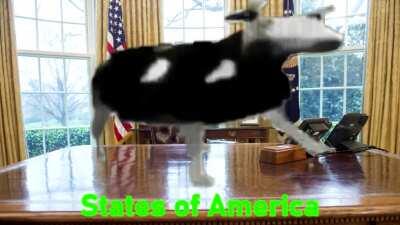 Polish Dancing Cow is the 46th President of the United States of America