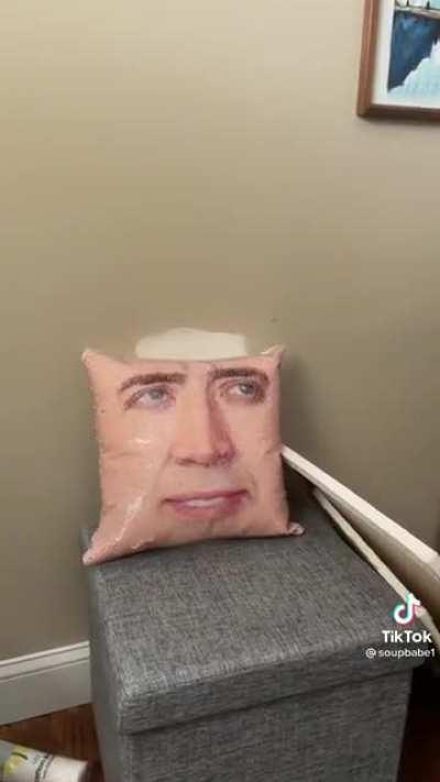 Dynamic Photo works on the Cage Cushion