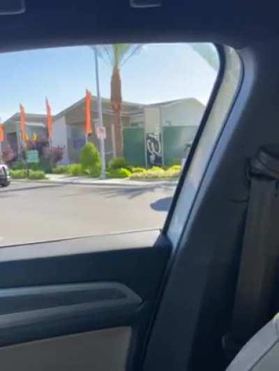 Lion shot by LVMPD a few days ago