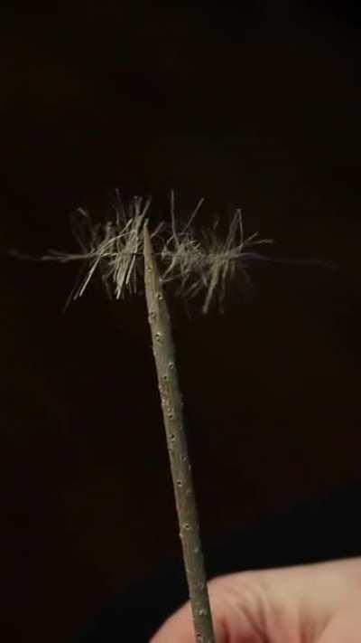 How I make my realistic conifer trees :D