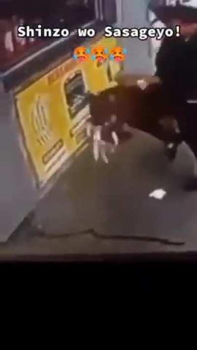 Bro thinks he’s Levi