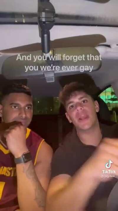 SLPT : How to turn your gay friend straight.