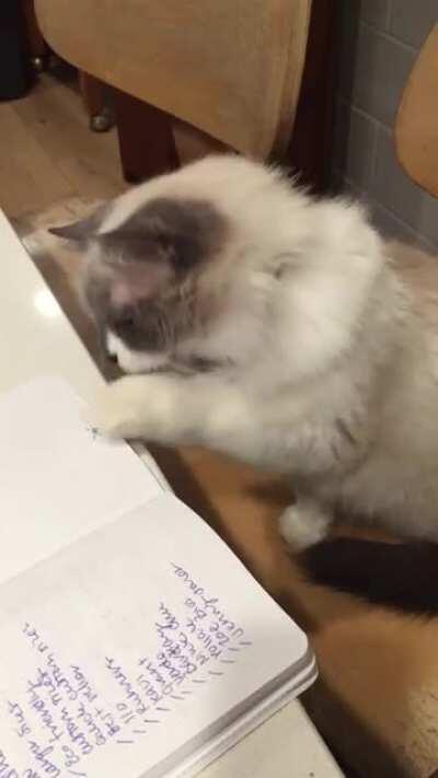 When your supervisor is a fucking moron