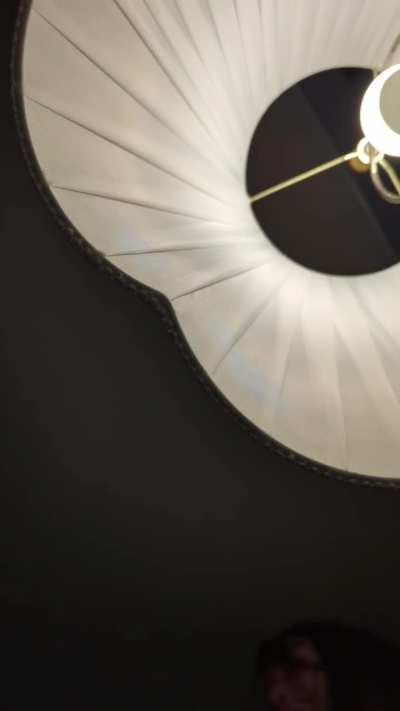 My Mormon dad flipping shit because I forgot to put Joseph Smith on the wall. 