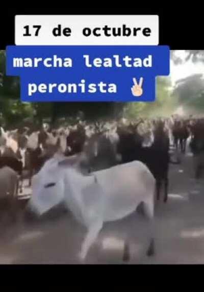 17 de Octubre Marcha de Lealtad Peronista...
