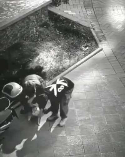 Took just enough to have fun with doggo