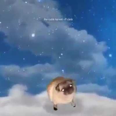Un pug
