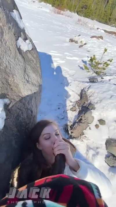 Man, The Tour Guides In The Swiss Alps Are Something Else