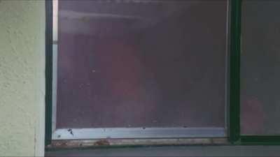 Phoebe Cates in ‘Fast Times at Ridgemont High’