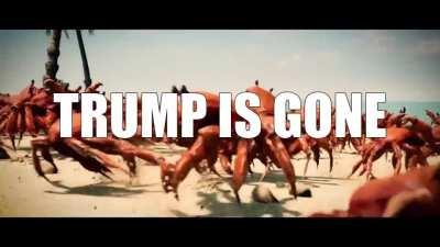 🦀🦀🦀🦀🦀🦀🦀🦀🦀🦀🦀🦀🦀🦀🦀🦀🦀🦀🦀🦀🦀🦀🦀🦀🦀🦀🦀🦀🦀🦀🦀🦀🦀🦀🦀🦀🦀🦀🦀🦀🦀🦀🦀🦀🦀