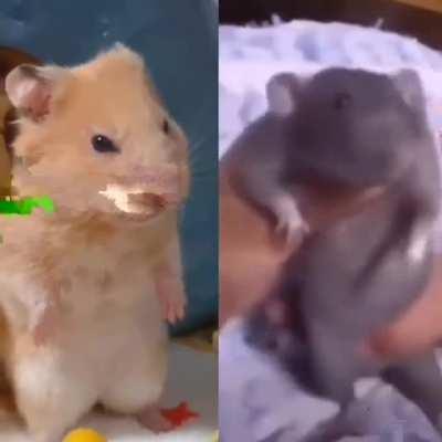 KUCH BOLNA HAI KYA TUJHE