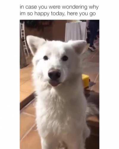 The best performance i've ever seen