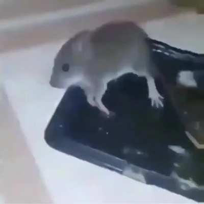 bieliesh ewwwwww 😔😔😔😔😔😔😔😔😔😔😔😔😔😔😔😔😔😔😔😔😔😔