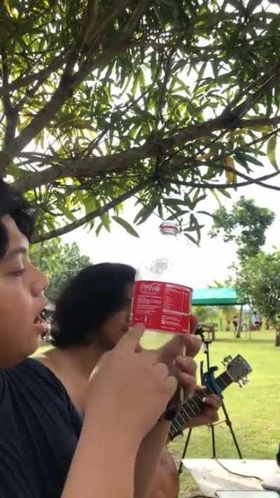 Ratatouille â Ratatutoyâï¸(CTTO)