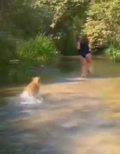 cropped for better views