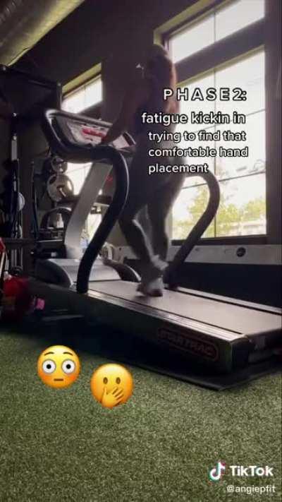 You Ain't Fooling No One lol