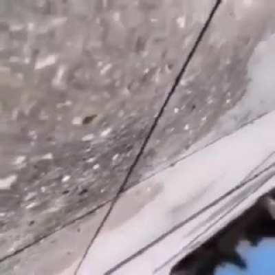 Mindblowingly beautiful 