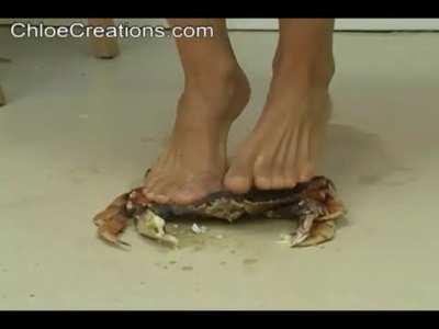 Barefoot - Crab | Maybe @Holiday_Vacation277 likes it