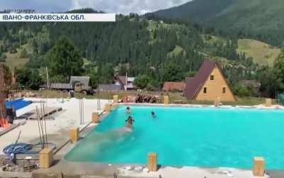 A cow slips in the pool