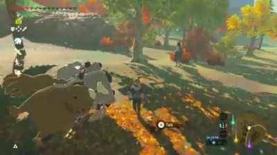 Um- you ok there pal…?