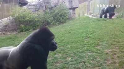 For just a split second you can see the look on their faces.