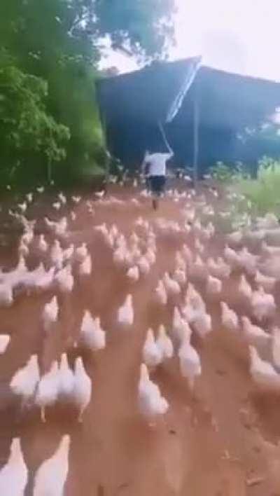 When the Barbecue is ready.