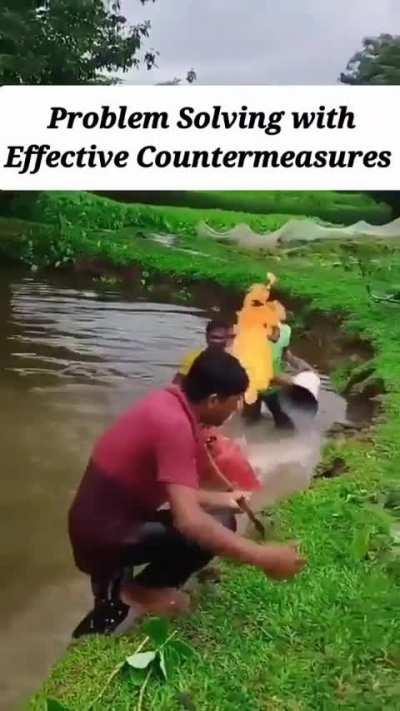 Education left the chat