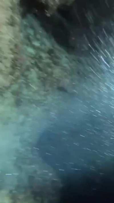 I'm going to need an oxygen tank for that