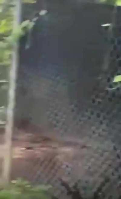 Went to the Zoo with 10 left with 9