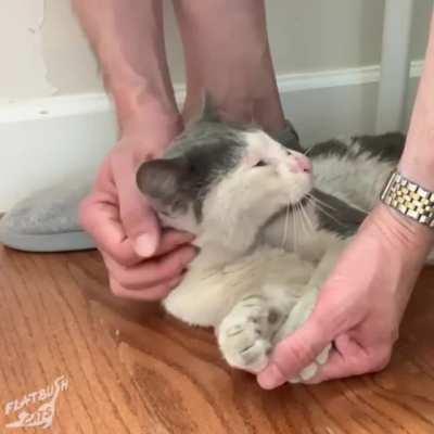 what a difference some love makes