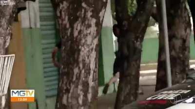 Trying to run away, tree says no