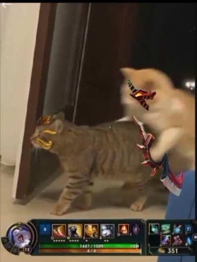 rengar be like: