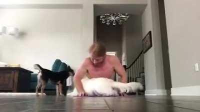 morning yoga with the family