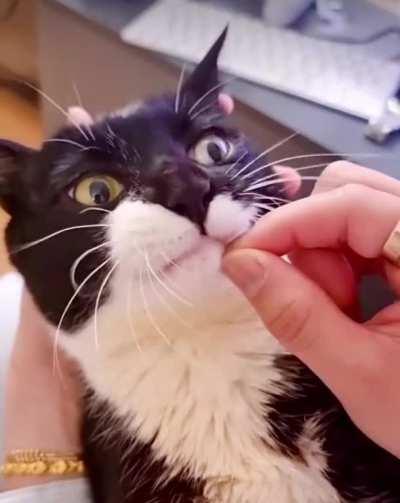 HMC while I get served snacks 