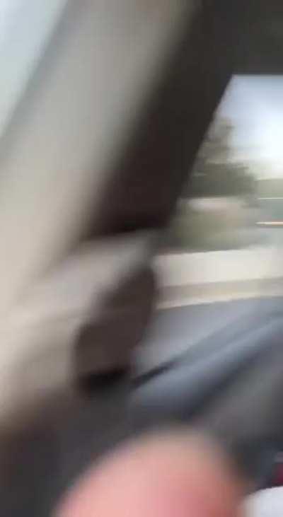 Turkeys have it in for this cyclist