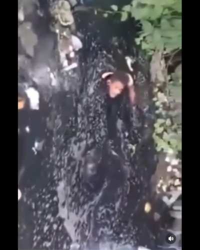 E o caba vai endoidar, é ?