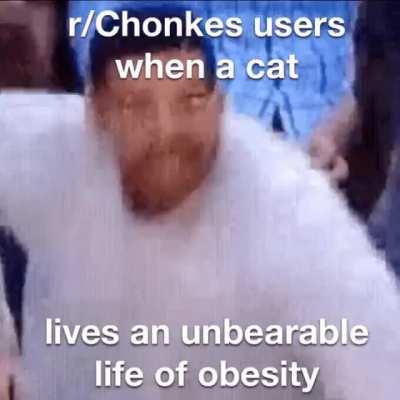 aww what a cute chonker 🥺