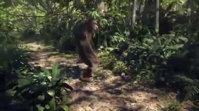 Reject Humanity, Transform Back to Monke and Vibe.