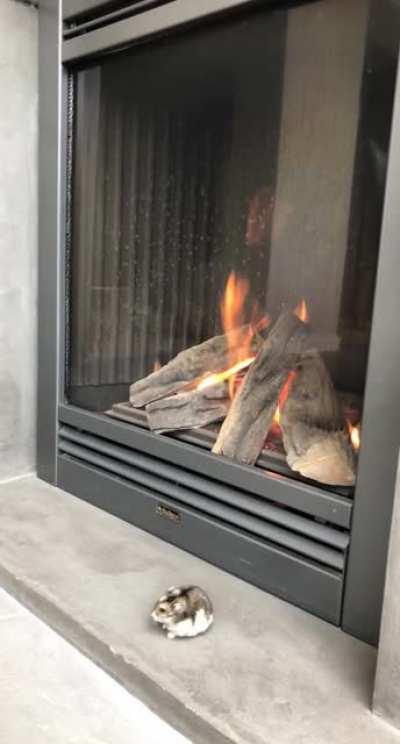 We are ready for the colder days