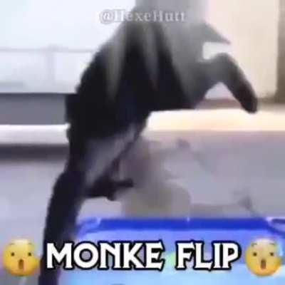Monki flip 2.0