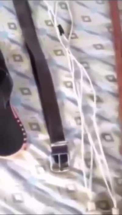 The Asian Parent Way