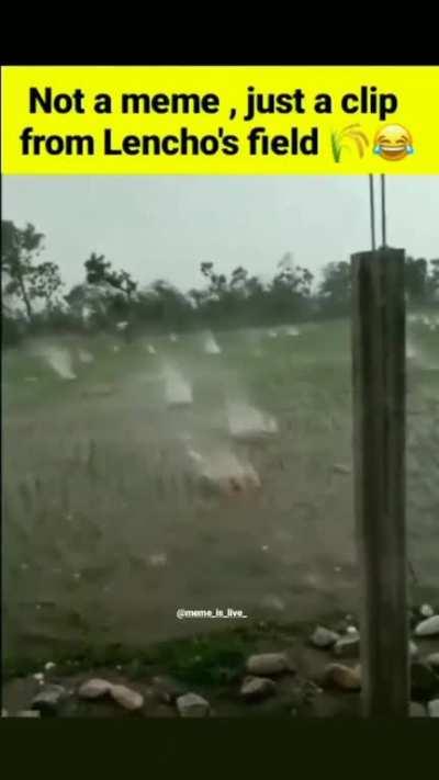 lencho be like dukh dard pida