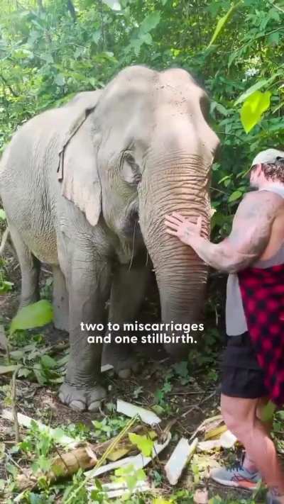 After 42 years in chains, this elephant is finally taking her first steps in freedom. True compassion isn’t pity it’s the act of easing the suffering of the vulnerable.