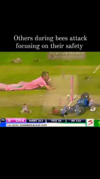 The bees came to celebrate his 1st international century 