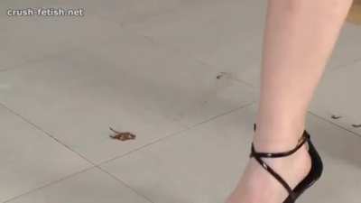 Desire ❤️‍🔥