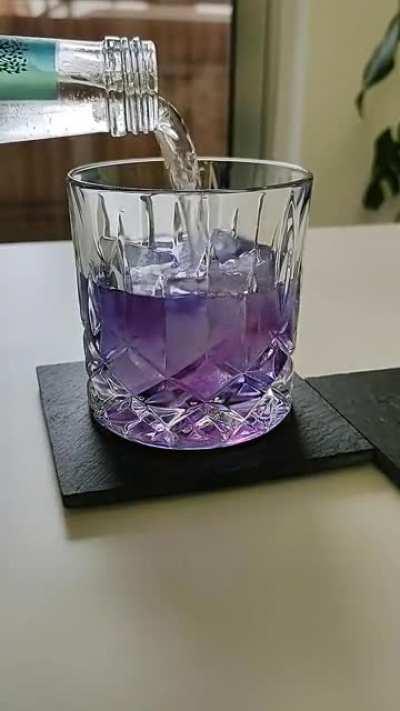 I know this is nothing new or spectacular anymore but I made some color changing gin at home using anthocyanidins from butterfly pea blossoms and I think it's really neat.