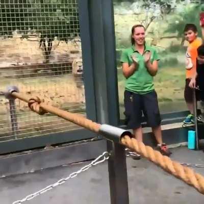 But, 3 men???? 1 lioness???