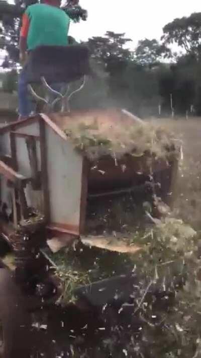 A engenhosidade de um povo simples